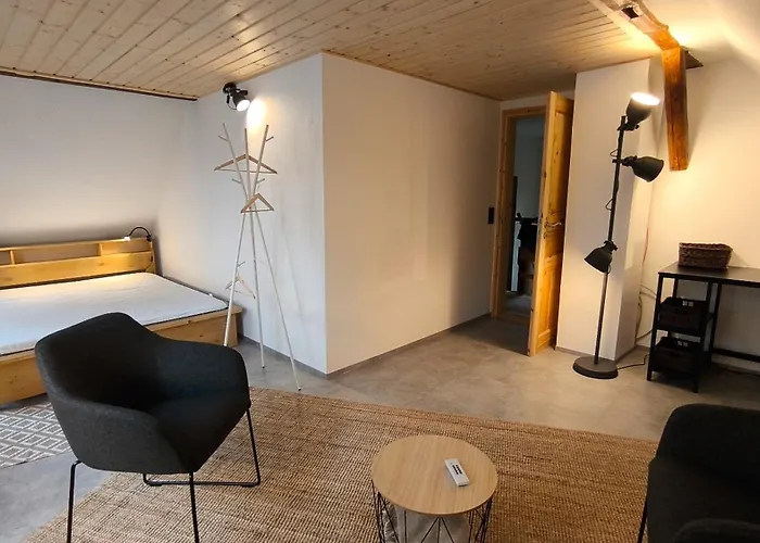 公寓 Stube 8 Maxi 戈斯拉尔